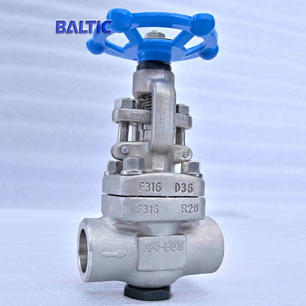 ASTM A182 F316 Globe Valves, API 602, 3/4 Inch, CL800, SW