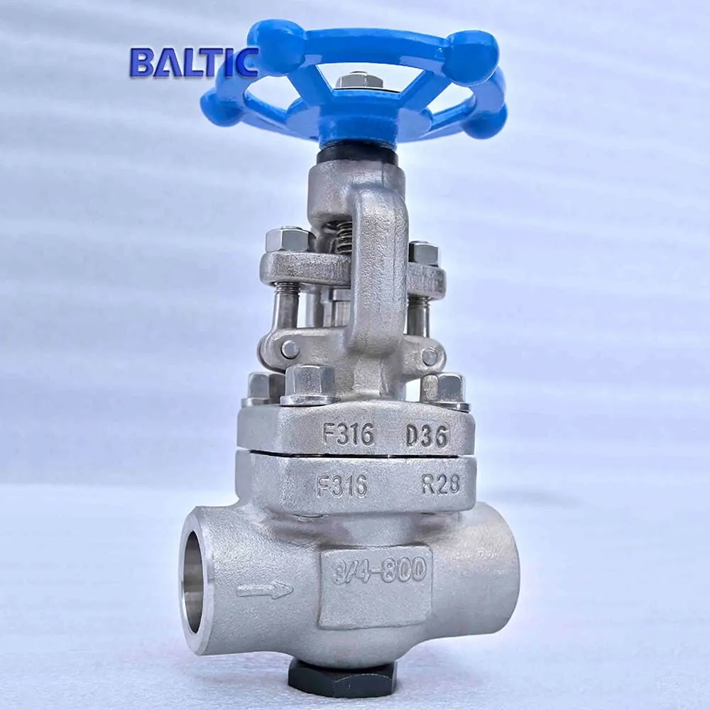 API 602 Globe Valves, A182 F316, 1/2 IN, CL800, Reduced Bore - Baltic