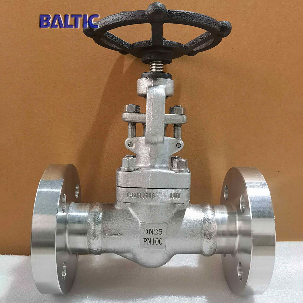 ASTM A182 F316 Globe Valves, EN ISO 15761, DN25, PN100, RF