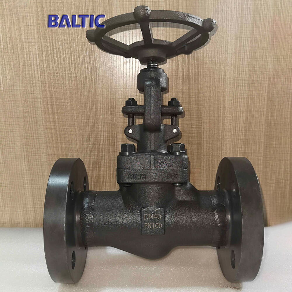 Bolted Bonnet Globe Valve, ISO 15761, A105N, DN40, PN100, RF