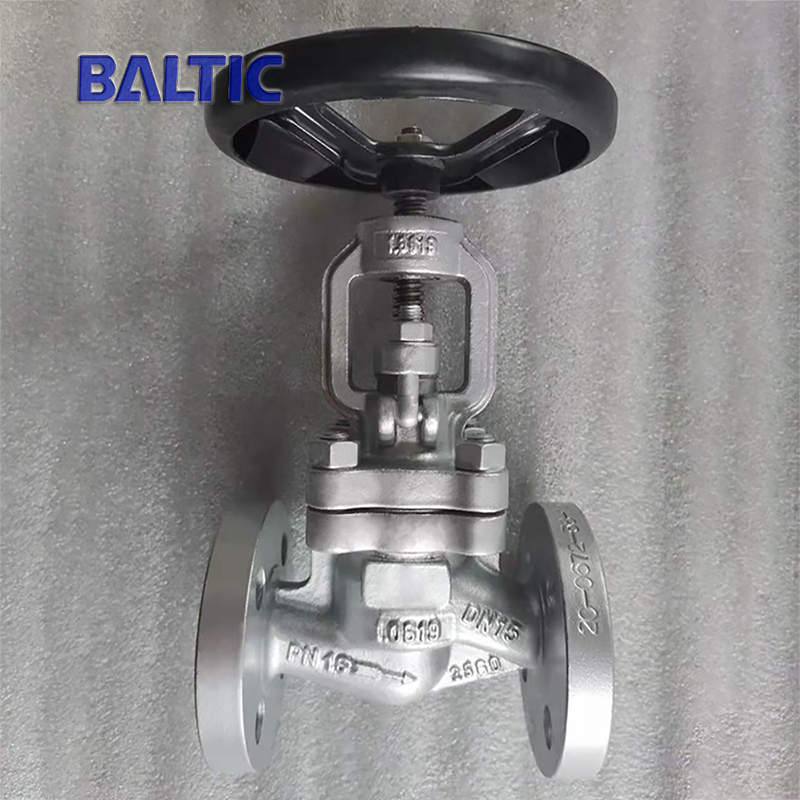 1.0619 S-type Globe Valve, DN15, PN16, RF Flange, EN 13709