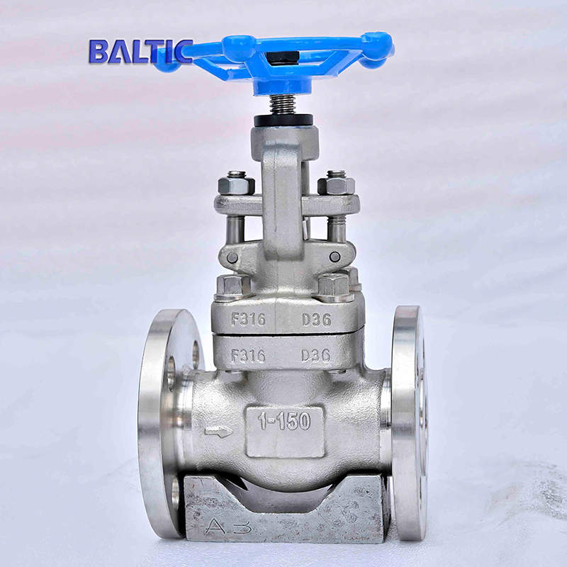 1 Inch 150 LB Globe Valve, API 602, ASTM A182 F316