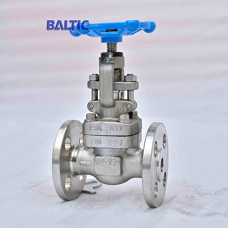 ASTM A182 F316 Globe Valve, 1/2 Inch, 150 LB, API 602, RF