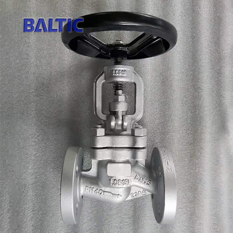 Full Bore S-type Globe Valve, 1.0619, DN15, PN40, RF