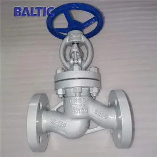 GS-C25 Bolted Bonnet Globe Valve, DIN 3356, DN50, PN100, RF