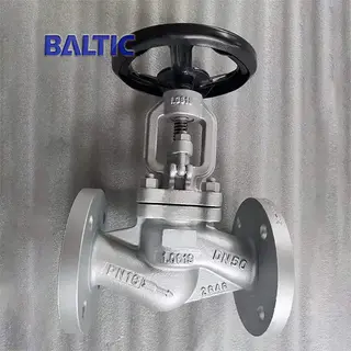 DIN Full Bore Globe Valve, 1.0619, DN50, PN16, RF Flange