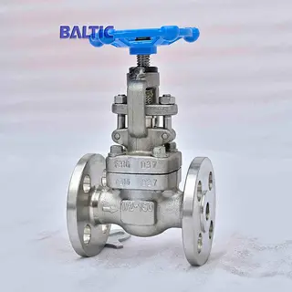 ASTM A182 F316 Globe Valve, 1/2 Inch, 150 LB, API 602, RF