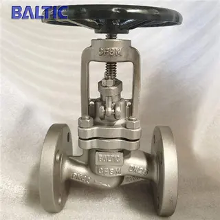 ASTM A351 CF8M Globe Valve, DIN 3356, BS 1873, DN25, PN40