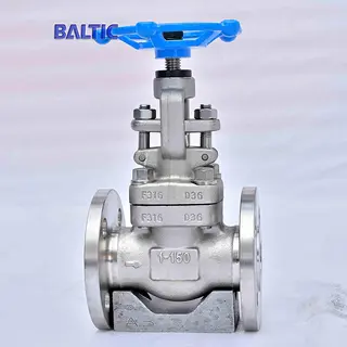 1 Inch 150 LB Globe Valve, API 602, ASTM A182 F316