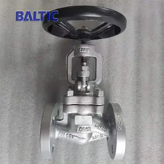 1.0619 S-type Globe Valve, DN15, PN16, RF Flange, EN 13709