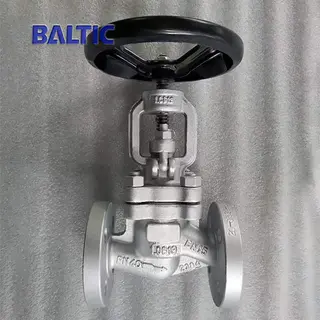 Full Bore S-type Globe Valve, 1.0619, DN15, PN40, RF