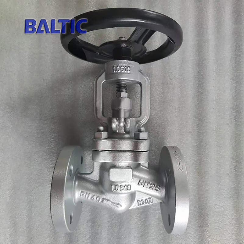S-type Globe Valve, DN25, PN40, Full Bore, RF Flanged Ends