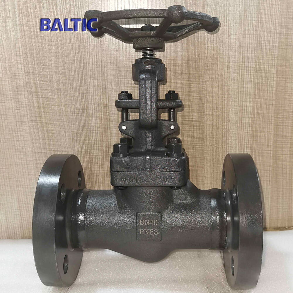Carbon Steel ASTM A105N Globe Valve, ISO 15761, DN40, PN63