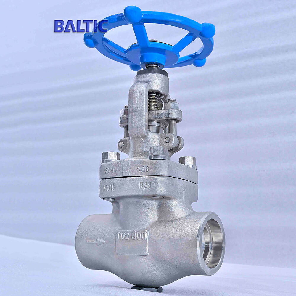 Class 800 LB Globe Valve, API 602, A182 F316, 1-1/2 Inch, SW
