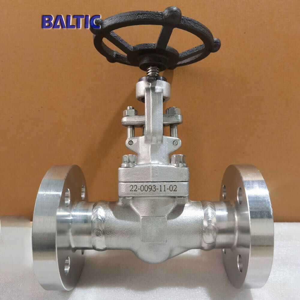 ISO 15761 Globe Valves, ASTM A182 F316, DN25, PN63, SS, RF