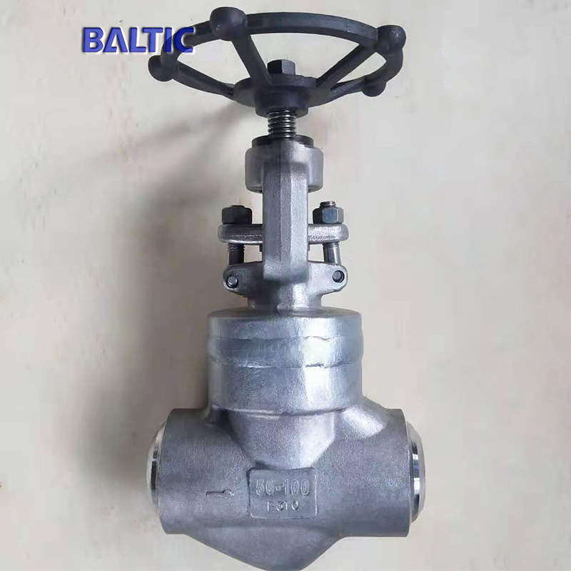 ASTM A182 F310 Globe Valve, DN50, PN100, API 602