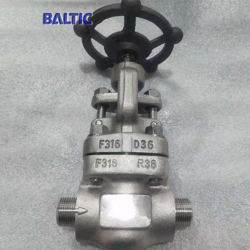 ASTM A182 F316 Reduce Bore Globe Valve, 2 Inch, 800 LB