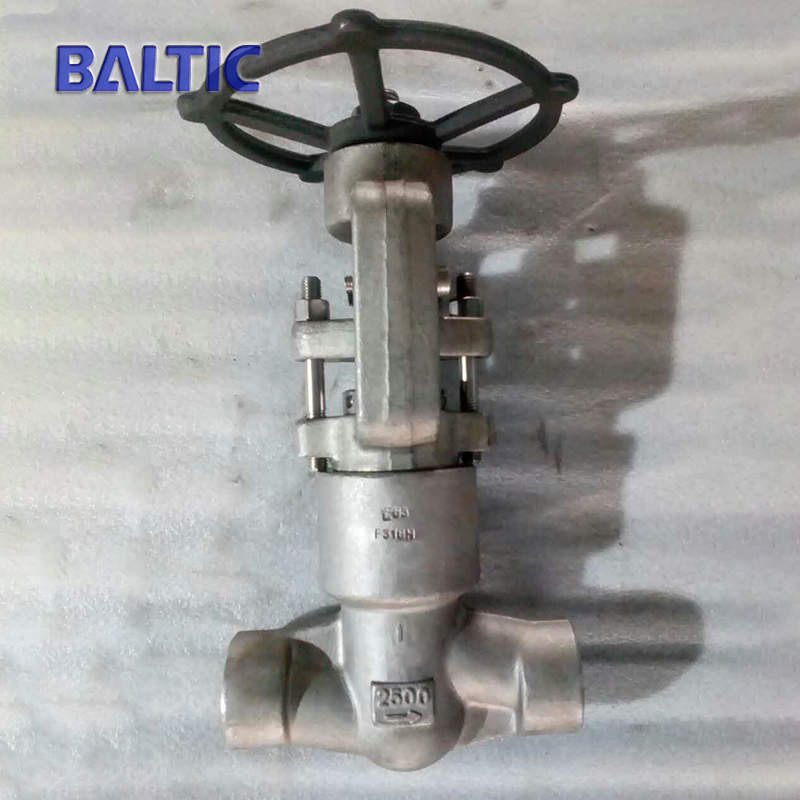 ASTM A182 F316H Globe Valve, 1 Inch, 2500 LB, API 602, BW