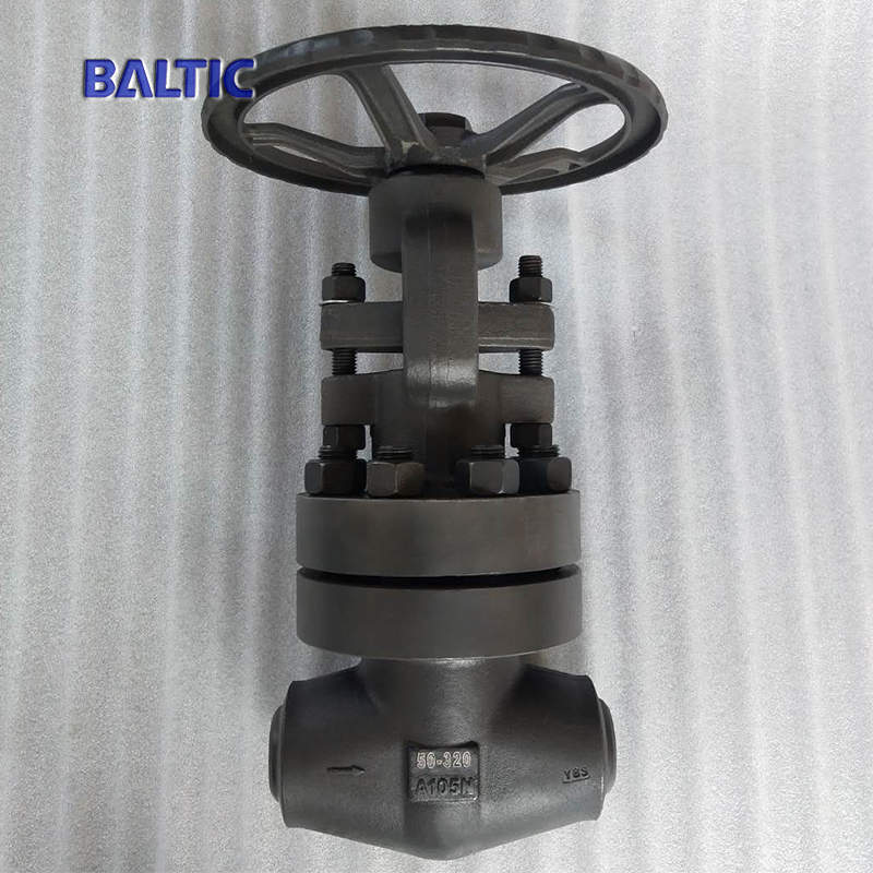 DN50 PN320 DIN Globe Valve, ASTM A105N, BW
