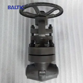 DN50 PN320 DIN Globe Valve, ASTM A105N, BW