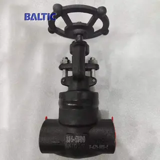 Welded Bonnet Globe Valve, 3/4 Inch, 1500 LB, API 602, SW