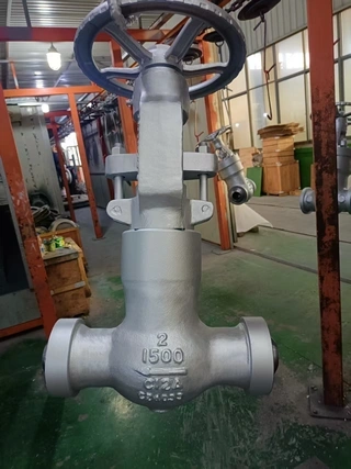 ASTM A217 C12A Globe Valves, ASME B16.34, 2 IN, CL1500, PSB