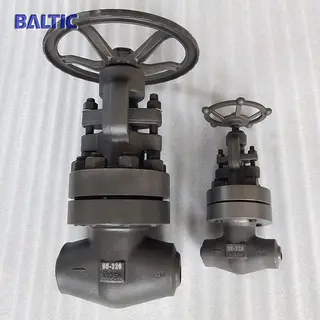 DIN Standard Globe Valve, DN20, PN320, ASTM A105N