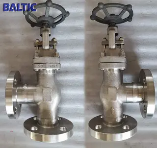 EN ISO 15761 Angle Globe Valve, ASTM A182 F316L, 2 Inch