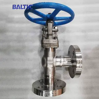 DN25 PN63 Angle Globe Valve, ASTM A182 F316, EN ISO 15761
