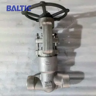 ASTM A182 F316H Globe Valve, 1 Inch, 2500 LB, API 602, BW