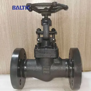 Carbon Steel ASTM A105N Globe Valve, ISO 15761, DN40, PN63