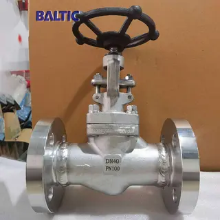 Stainless Steel Globe Valve, ISO 15761, F316, DN40, PN100