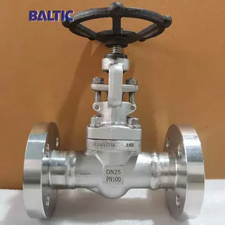ASTM A182 F316 Globe Valves, EN ISO 15761, DN25, PN100, RF