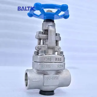 ASTM A182 F316 Globe Valves, API 602, 3/4 Inch, CL800, SW