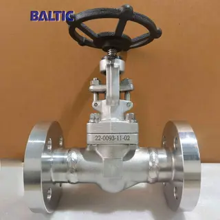 ISO 15761 Globe Valves, ASTM A182 F316, DN25, PN63, SS, RF
