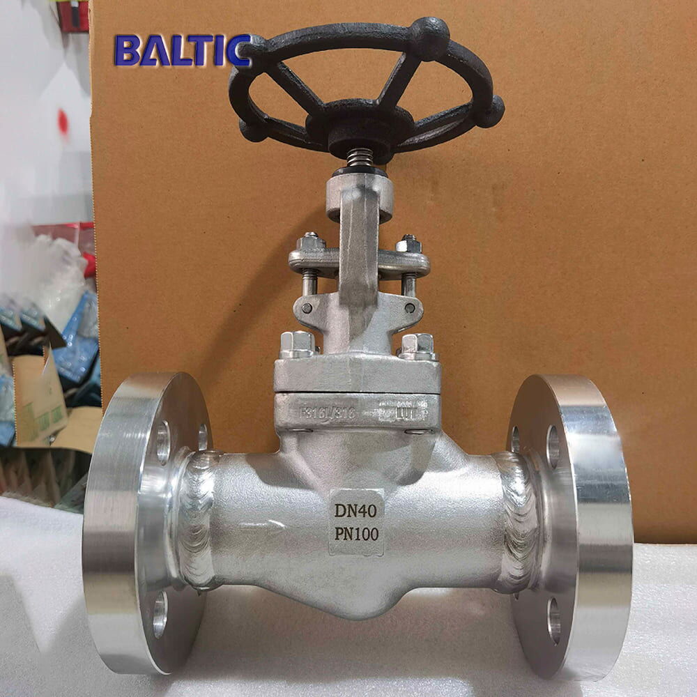 Stainless Steel Globe Valve, ISO 15761, F316, DN40, PN100