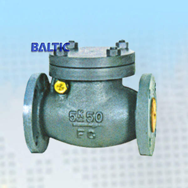 JIS F7372 5K 50A Cast Iron Marine Swing Check Valve