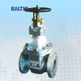 SC-Carbon Steel Marine Gate Valve, JIS F7366, 10K, 80A, FF