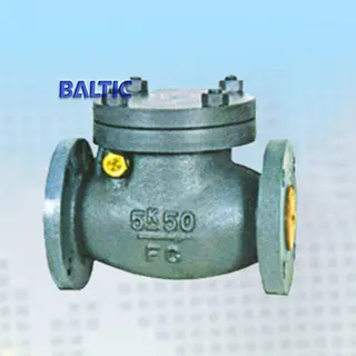 JIS F7372 5K 50A Cast Iron Marine Swing Check Valve