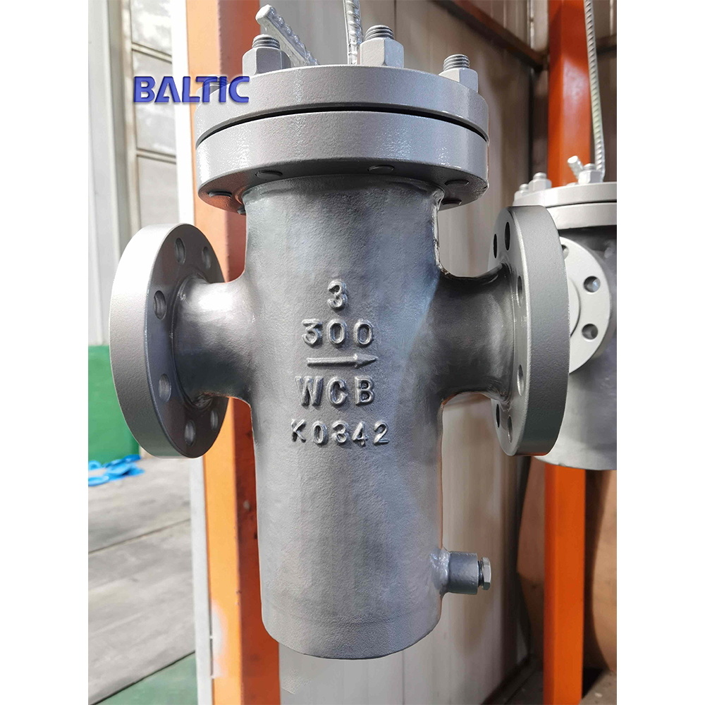 Carbon Steel Basket Strainer, ASME B16.34, WCB, 3 IN, CL300