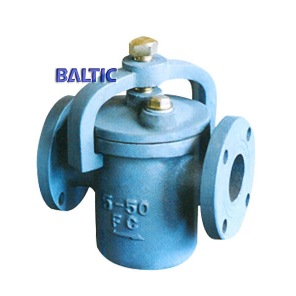 Cast Iron Basket Strainer, 50A, CL125, JIS, FF Flanged Ends