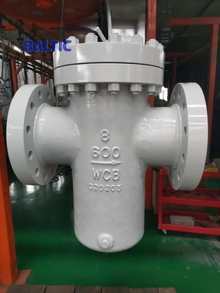 ASTM A216 WCB Basket Strainer, ASME B16.34, 8 IN, 600 LB, RF