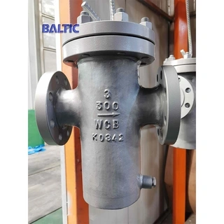 Carbon Steel Basket Strainer, ASME B16.34, WCB, 3 IN, CL300