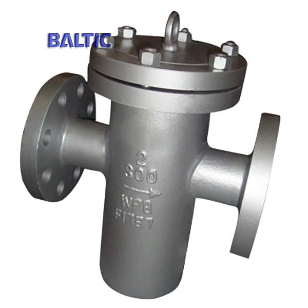 WPB Basket Type Strainer, 2 Inch, Class 300, ASME B16.34, RF