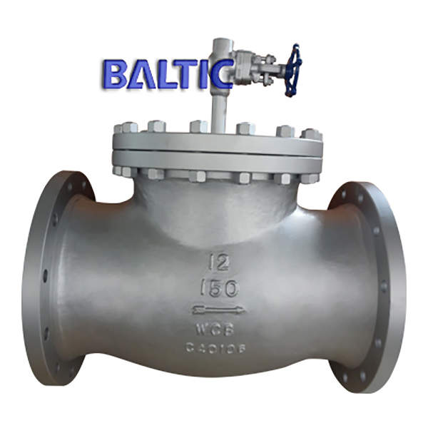 ASTM A216 WCB T Type Strainer, 12IN, CL150, ASME B16.34, RF