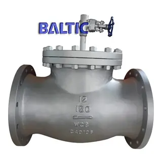 ASTM A216 WCB T Type Strainer, 12IN, CL150, ASME B16.34, RF