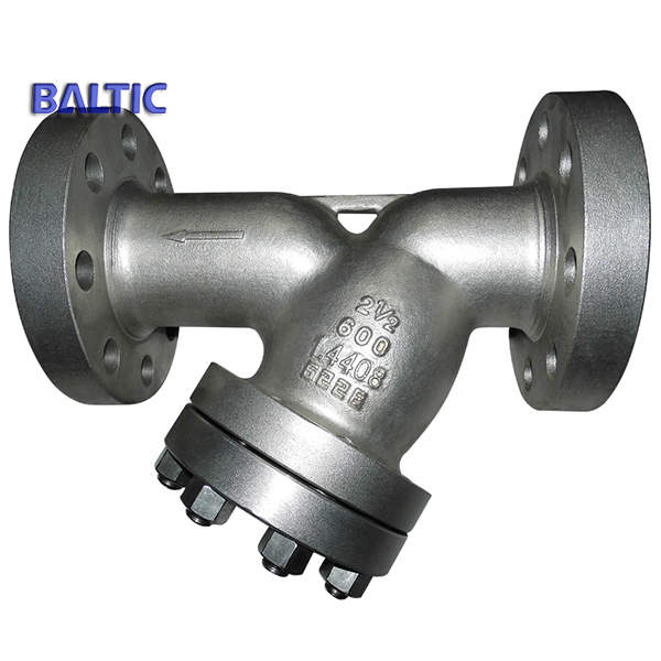 1.4408 Y Strainer, 2 1/2 Inch, Class 600 LB, ASME B16.34, RF