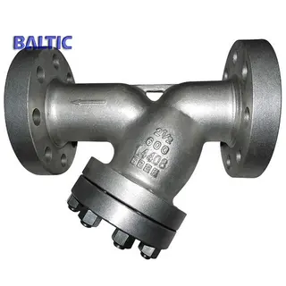 1.4408 Y Strainer, 2 1/2 Inch, Class 600 LB, ASME B16.34, RF