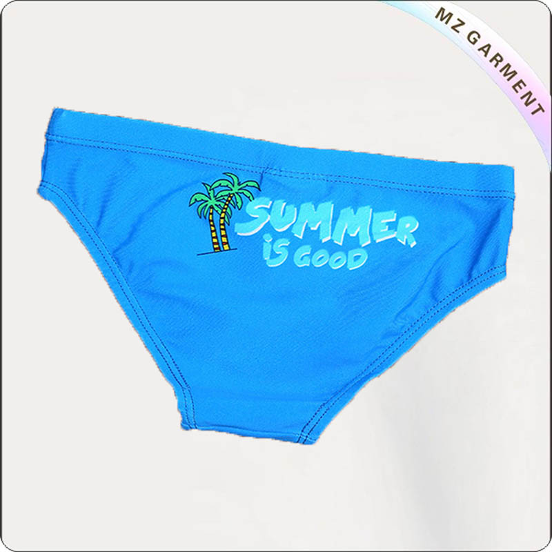 Boy Bluish Swim Boyshorts
