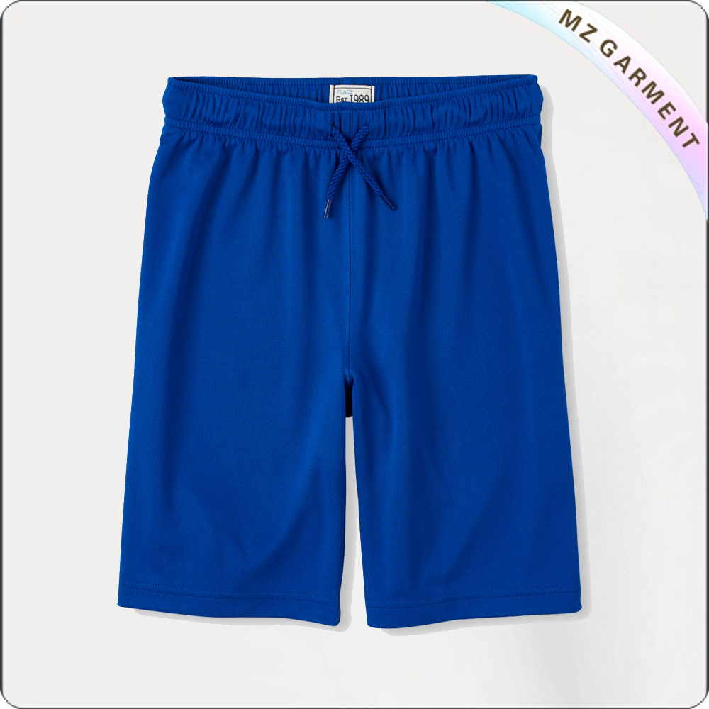 Boys Roy Blue Short Pants